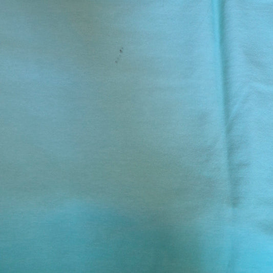 *B-Ware* Panel Palm Sunset Helles Mint Verlauf Bio Jersey Überbreite