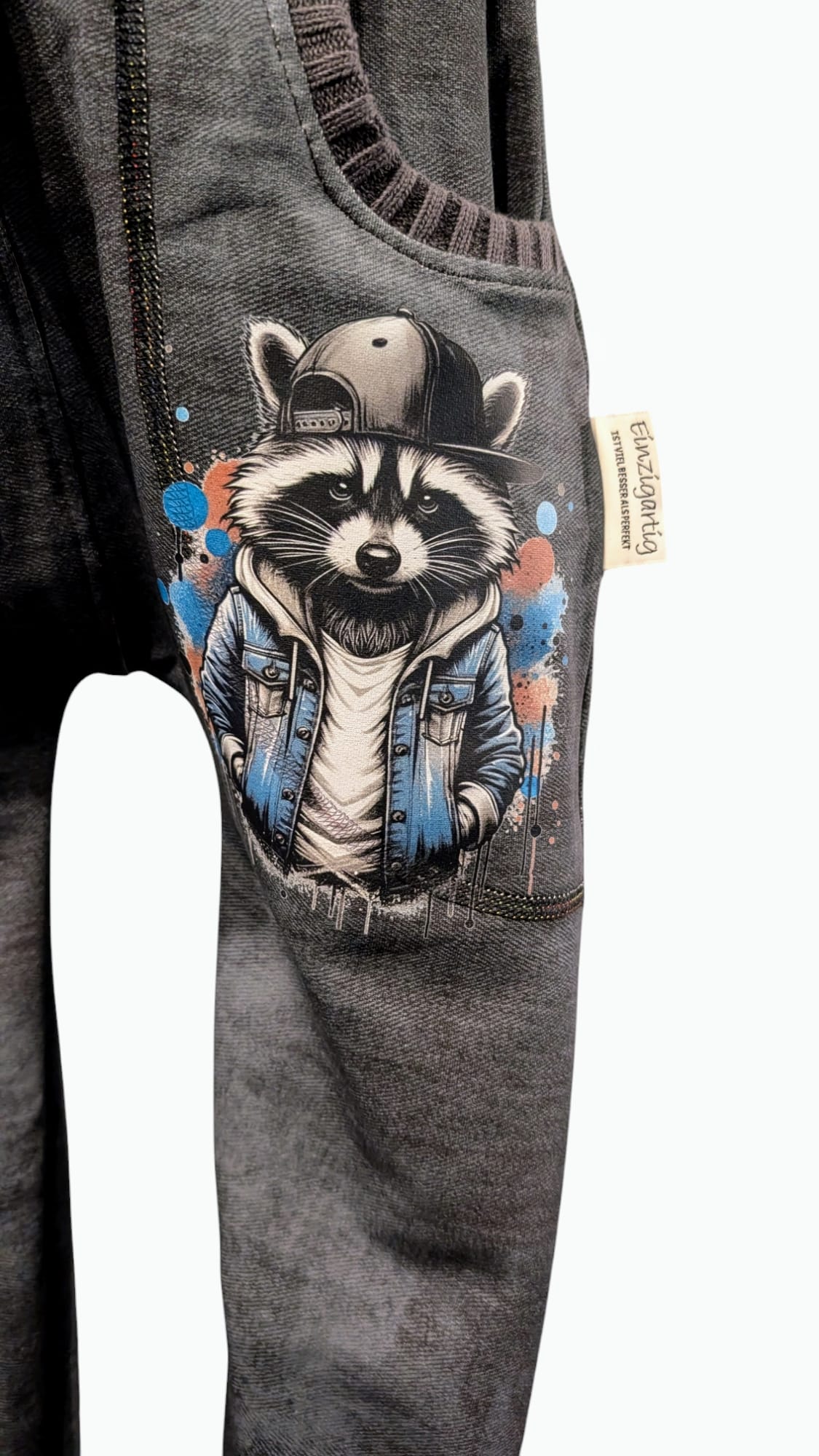 Bügelbild Streetwear Splash Waschbär Fylou's Style