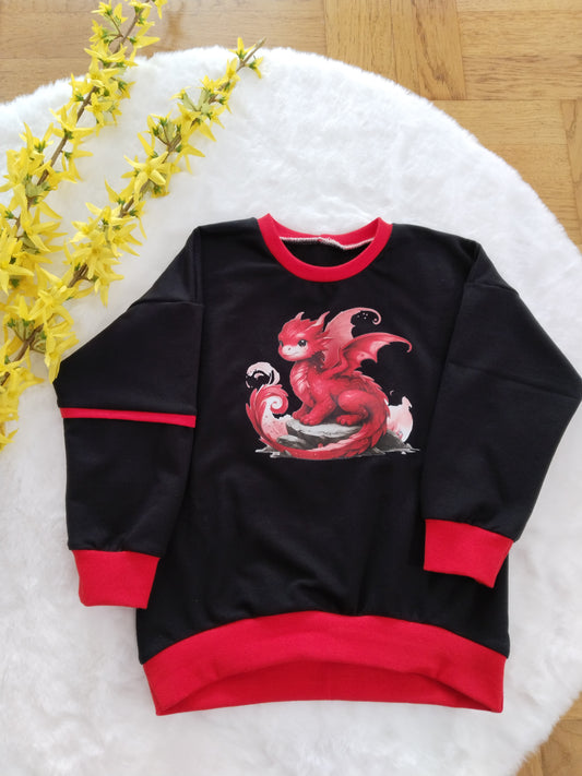 Bügelbild Elementar Drache #25