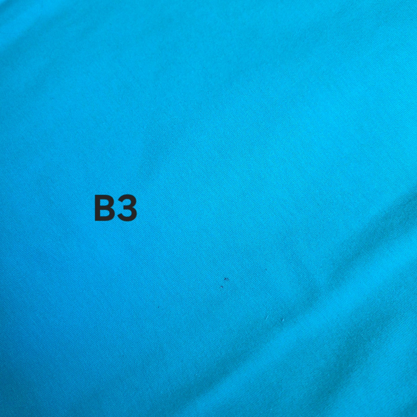 *B-Ware* Panel Palm Sunet Türkis Ocean Verlauf Bio Jersey Überbreite