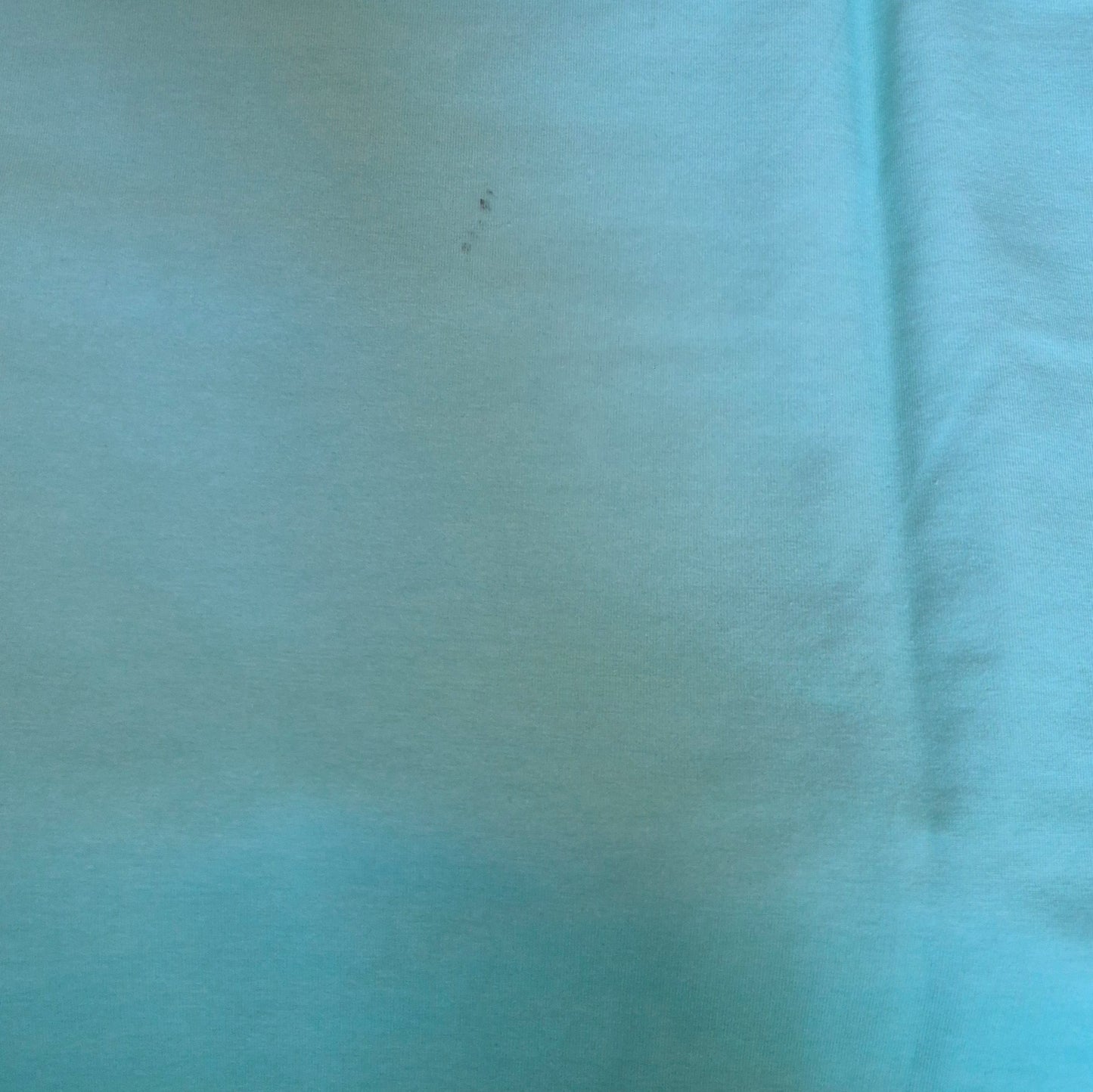 *B-Ware* Panel Palm Sunset Helles Mint Verlauf Bio Jersey Überbreite