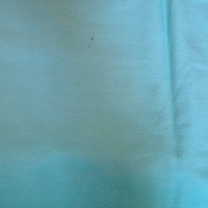 *B-Ware* Panel Palm Sunset Helles Mint Verlauf Bio Jersey Überbreite