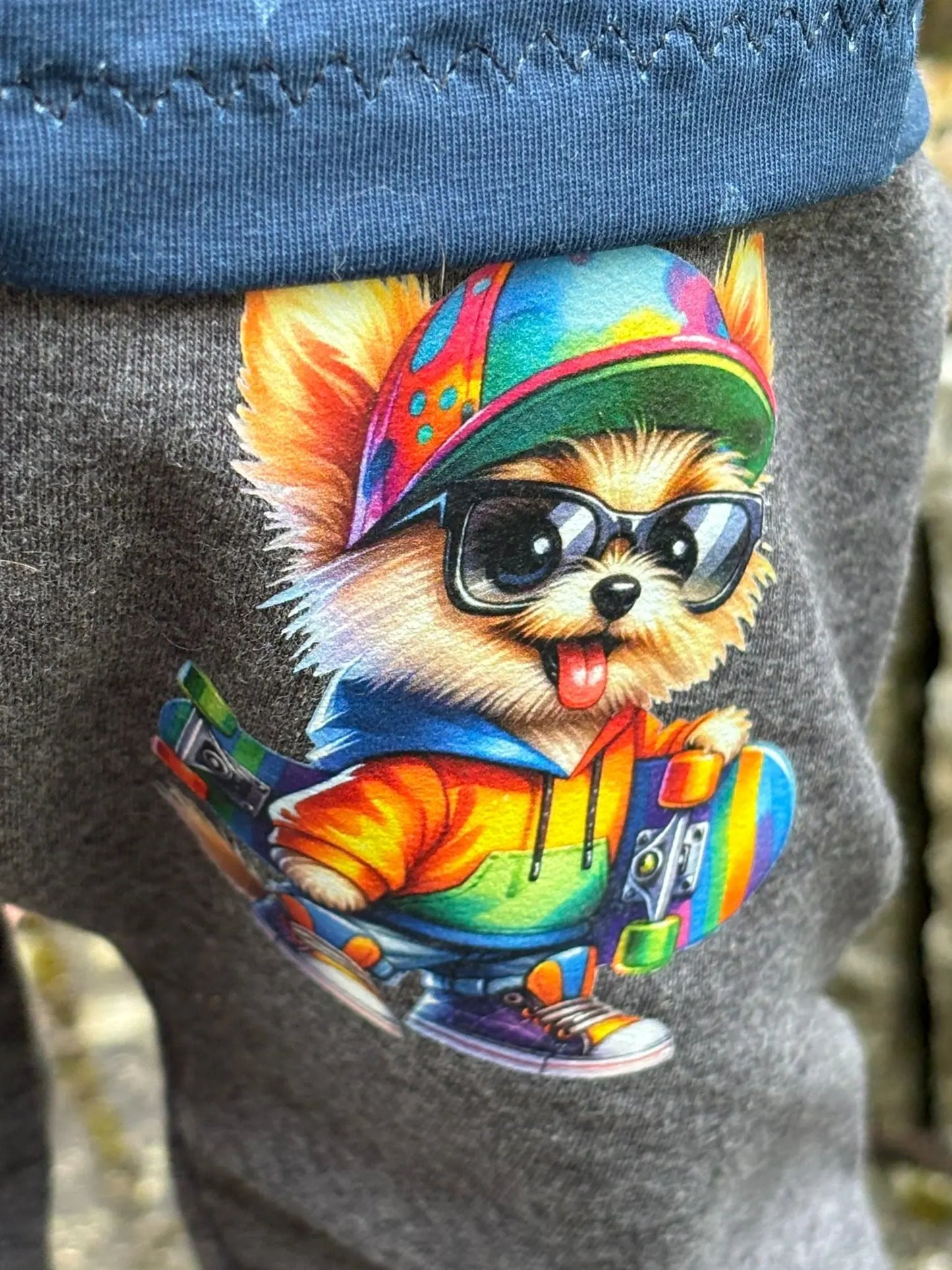 Bügelbild Skater Animal #6 Fylou's Style