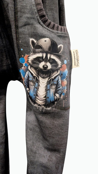 Bügelbild Streetwear Splash Waschbär Fylou's Style