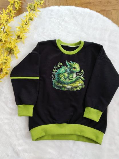 Bügelbild Elementar Drache #6