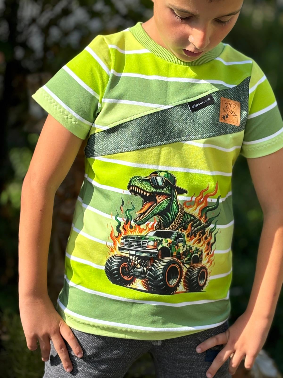 Bügelbild  Dino Monstertruck #14