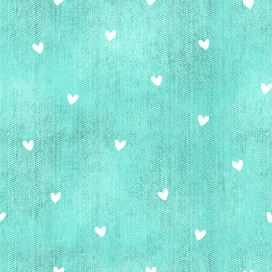 Bio Jersey Denim Herzen Mint