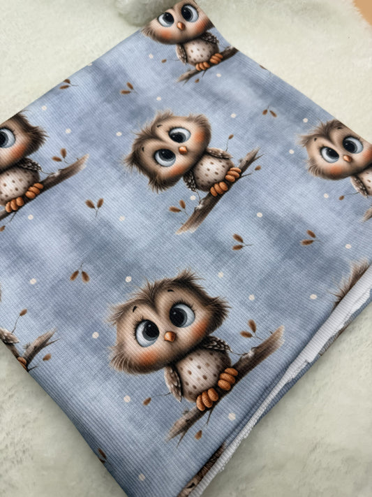 Vorbestellung Jersey Eule